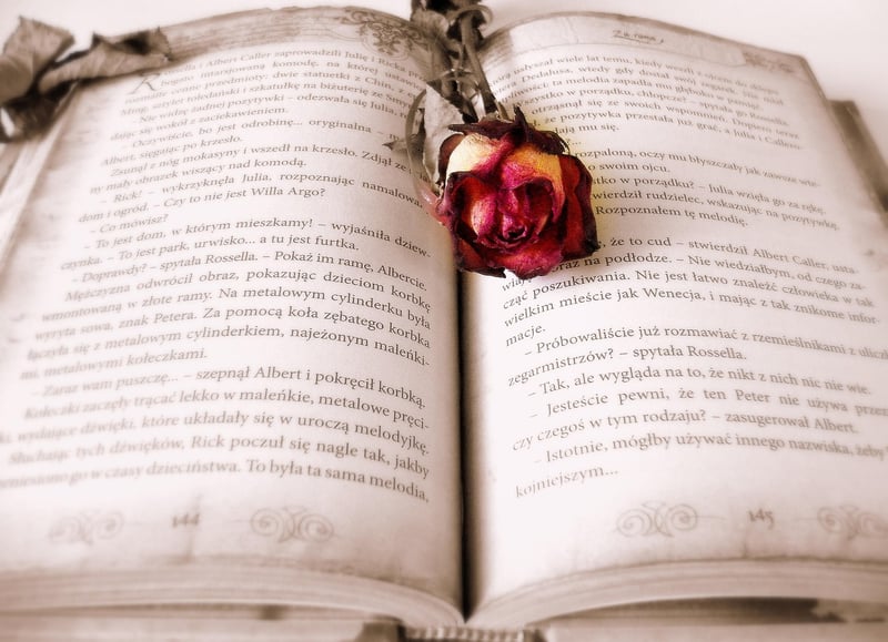 The Book Thief by Markus Zusak